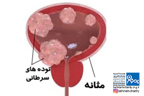 خیریه موسسه خیریه بهنام دهش پور