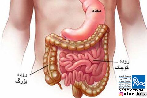 خیریه موسسه خیریه بهنام دهش پور