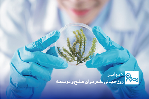 خیریه موسسه خیریه بهنام دهش پور