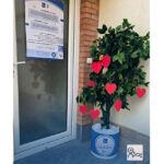درخت آرزوها، نمادی پایدار